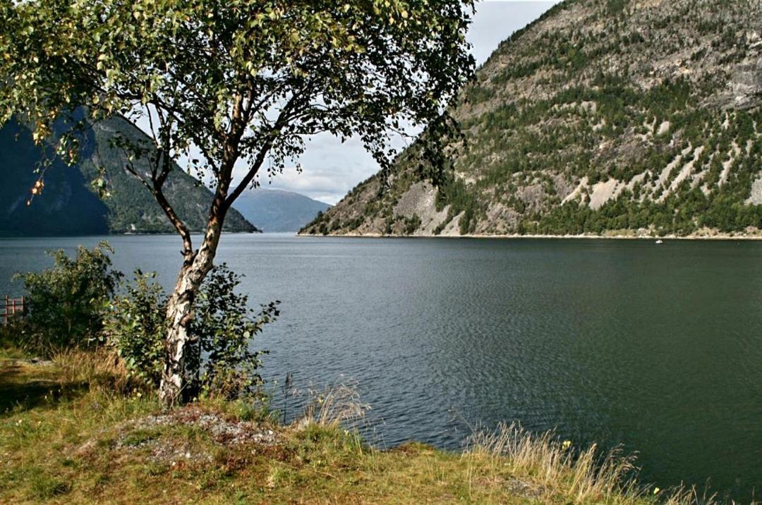 Kvammehuset Pa Gamle Laerdalsoyri Villa Eksteriør billede