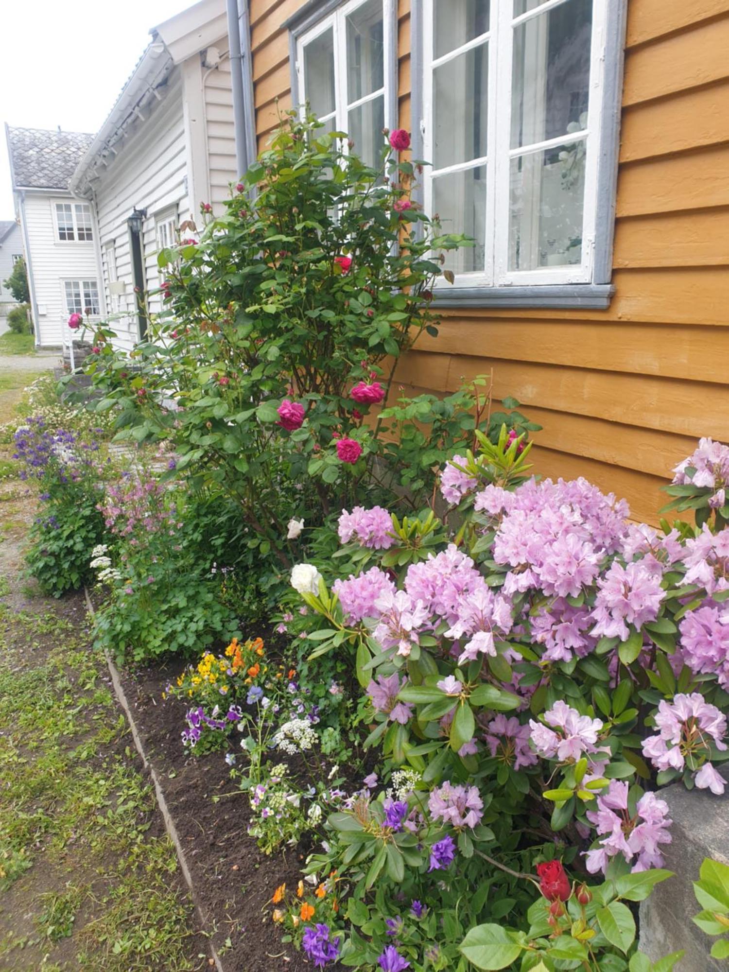 Kvammehuset Pa Gamle Laerdalsoyri Villa Eksteriør billede